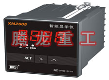 溫度表、數(shù)字顯示儀、濕度表