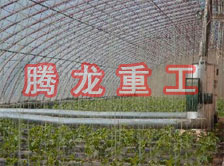 大棚花卉供暖設(shè)備、大棚卉采暖設(shè)備、大棚花卉取暖設(shè)備