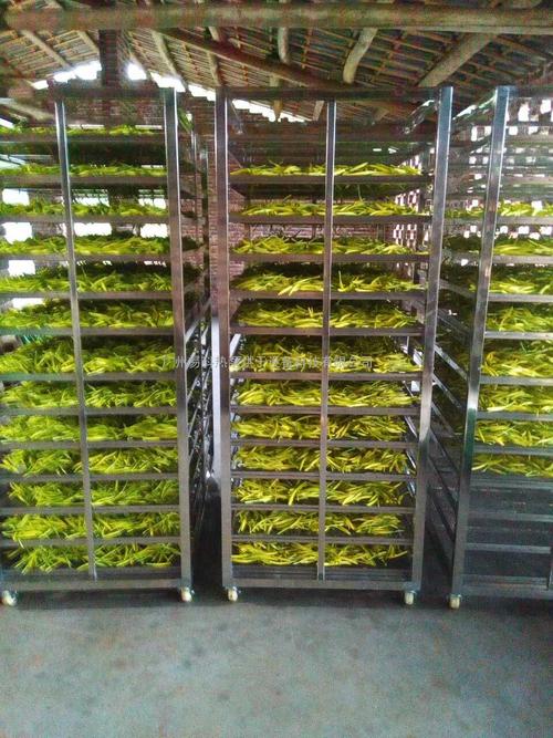 黃花菜烘干機(jī)、黃花菜烘干設(shè)備、黃花菜干燥機(jī)、黃花菜干燥設(shè)備、